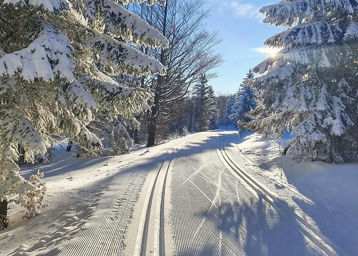 Na Zlatniku 公寓